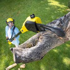 Lawn Maintenance Plans in Burns Harbor, IN